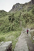 Inca Trail, Phuyupatamarka ruins